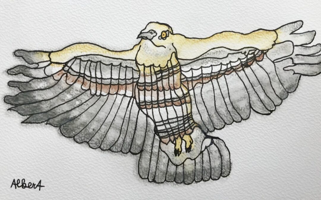 Albert Masser „Zwischen Fell und Feder“ – Format Junge Kunst